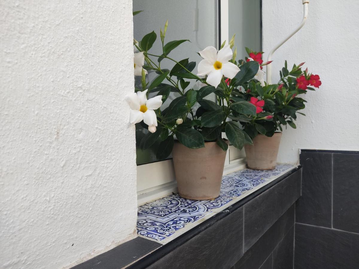 Apartamento 700 Metros De La Playa Playa Flamenca Exteriér fotografie
